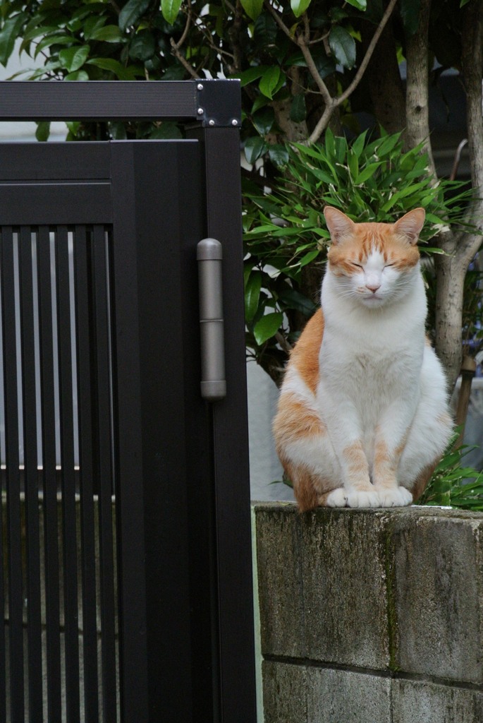 門番「今日もお仕事がんばりま・・・zzZ」