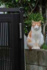 門番「今日もお仕事がんばりま・・・zzZ」