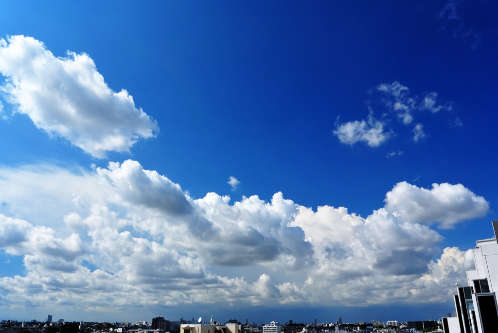 あの夏の空