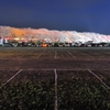 権現堂桜堤2013　桜の山