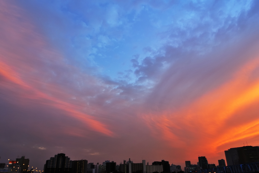 蒼い三角地帯