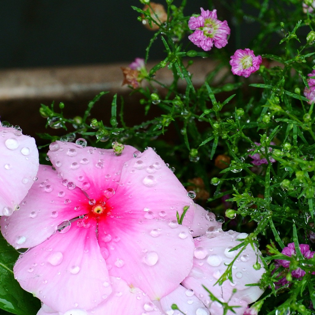A rainy day