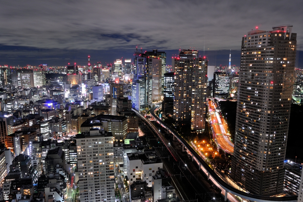 A night view of Hamamatsucho