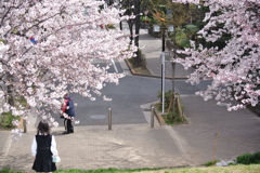 The花見