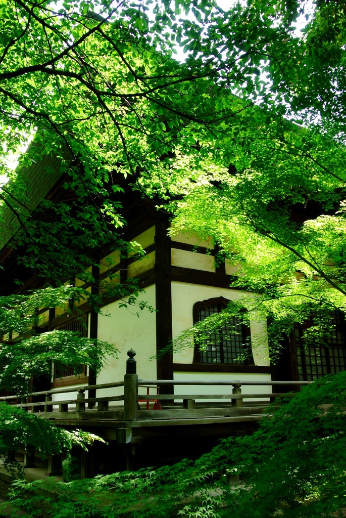 翠緑の寺院
