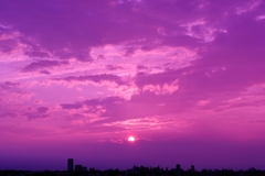 Purple sunset