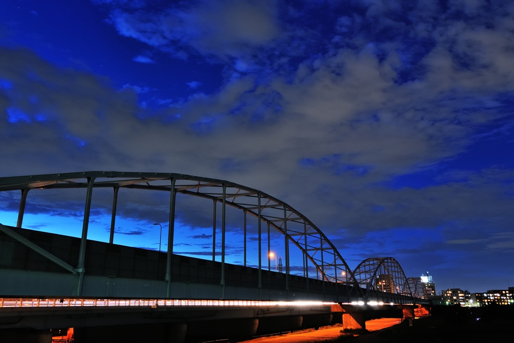 多摩川専用橋