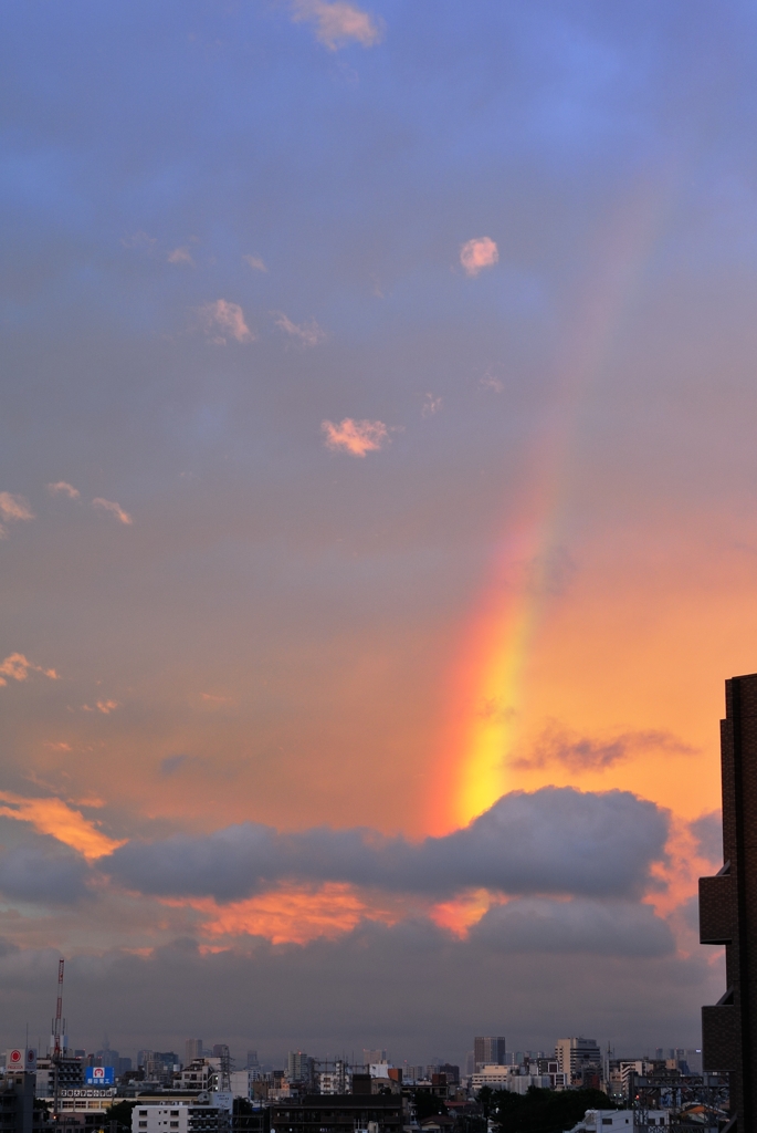 Tokyo Rainbow