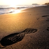 Footprints on the beach