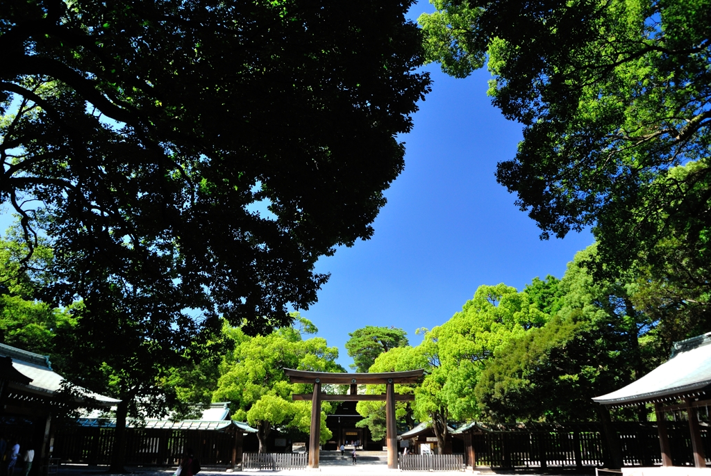 神宮・参道から見た鳥居