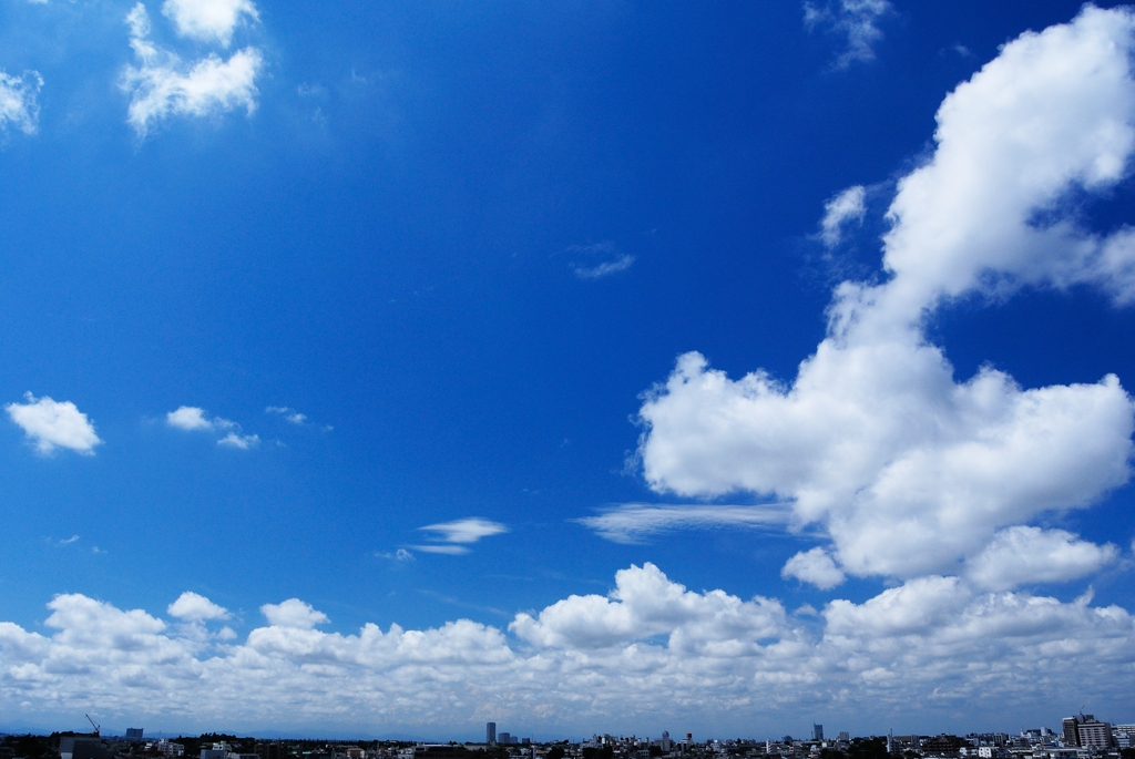 青と白の夏