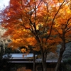 晩秋の色彩　＜瑞泉寺５＞