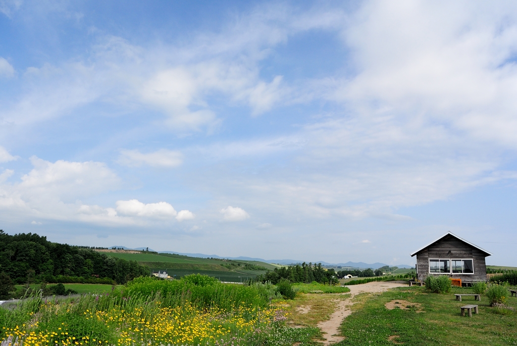 農園からの風景