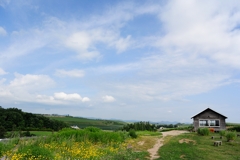 農園からの風景