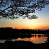 夕刻のシルエット　~水辺