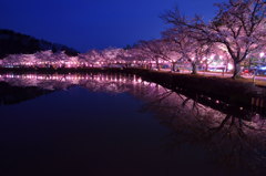 鏡桜～夜陣～