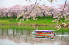 桜映船