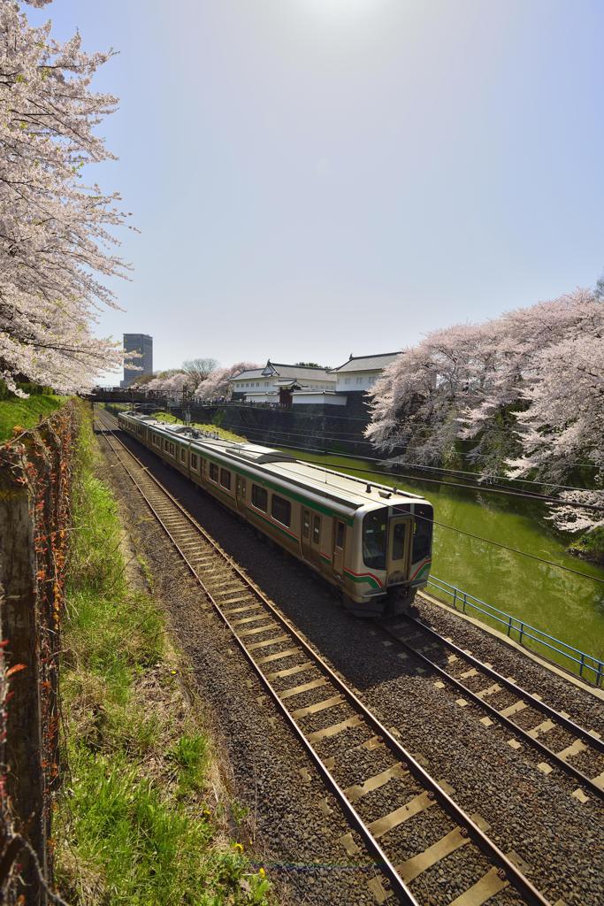 春と電車と。。。