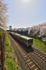 春と電車と。。。