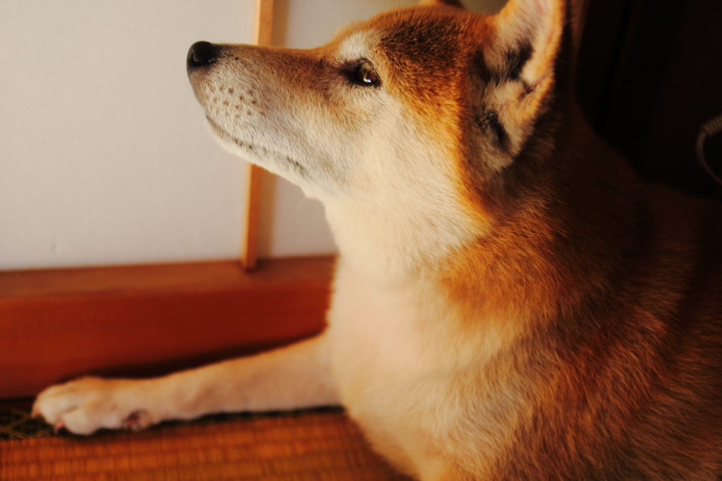 視線の先にあるものは･･･？