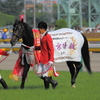 80代目ダービー馬キズナの勇姿