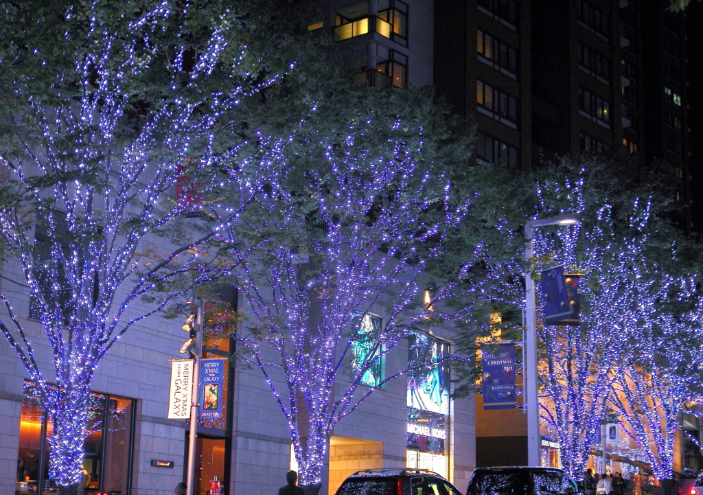 Sparkling Blue Street Trees