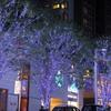 Sparkling Blue Street Trees