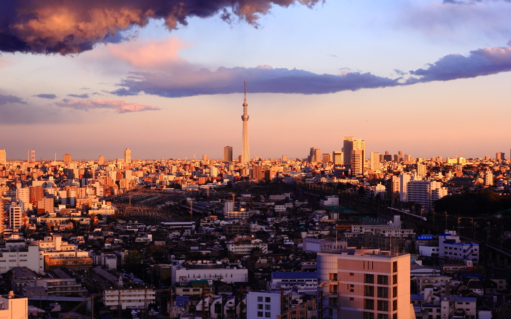 スカイツリーと都心の夕景