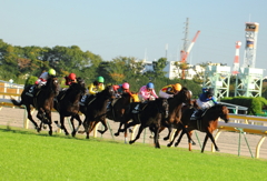 横一線の追い比べ！