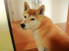 見返り美人
