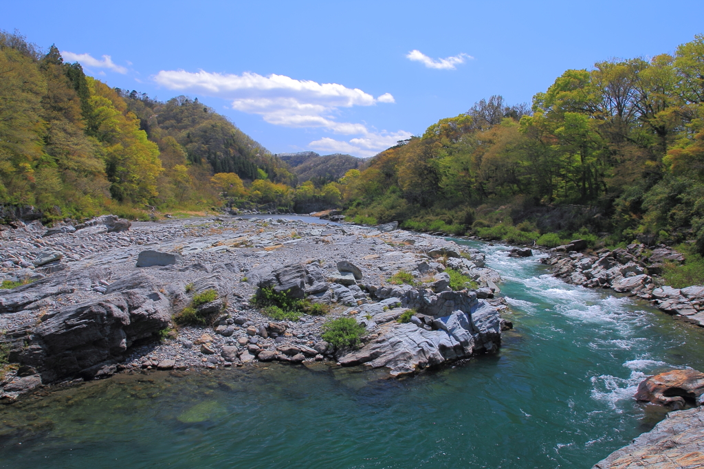 荒川の清流