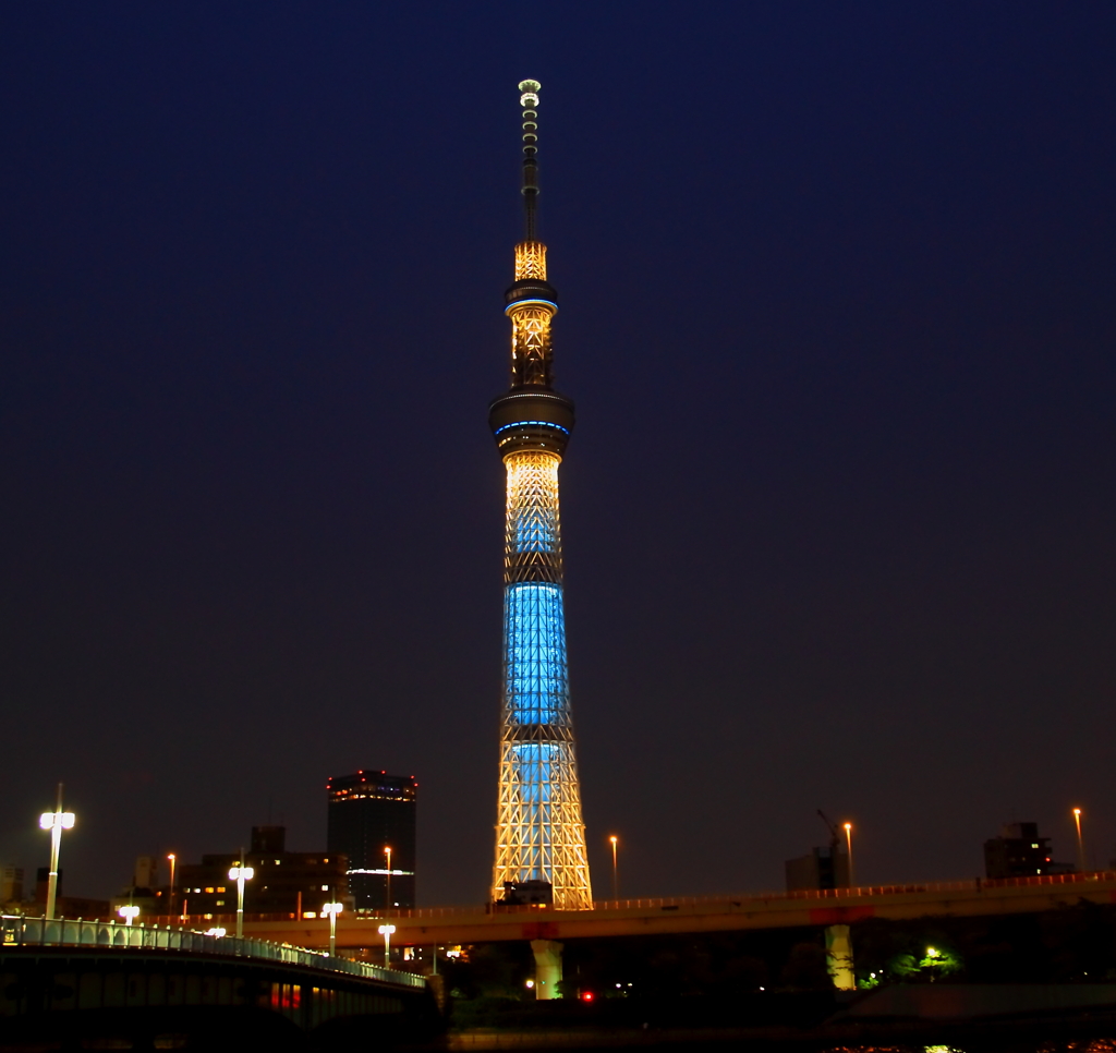 闇夜に輝く搭