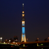 闇夜に輝く搭