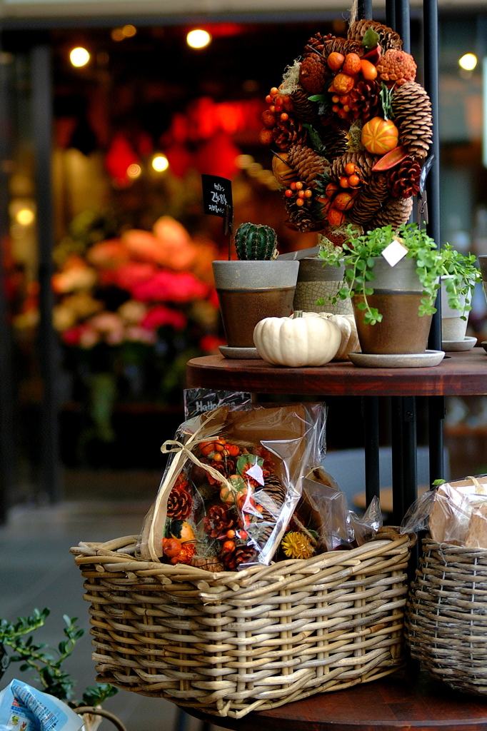 Flower Shop(4)