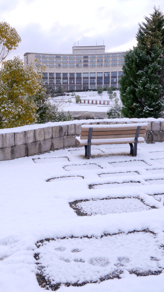 雪の日の眺め