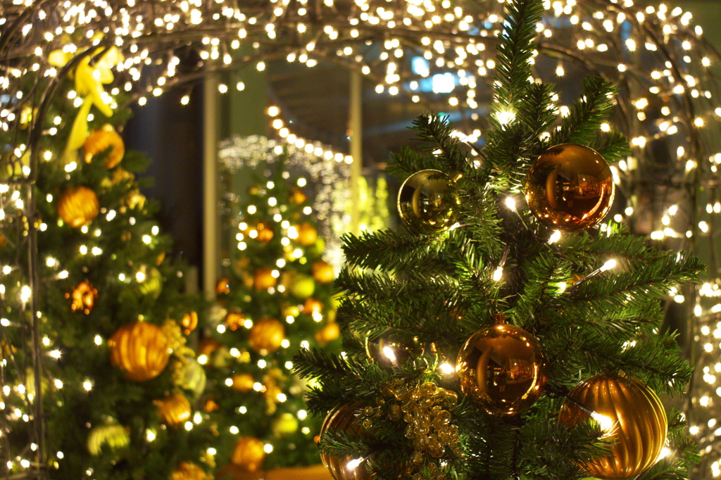 GRAND WISH CHRISTMAS 2014（6）