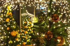 GRAND WISH CHRISTMAS 2014（6）