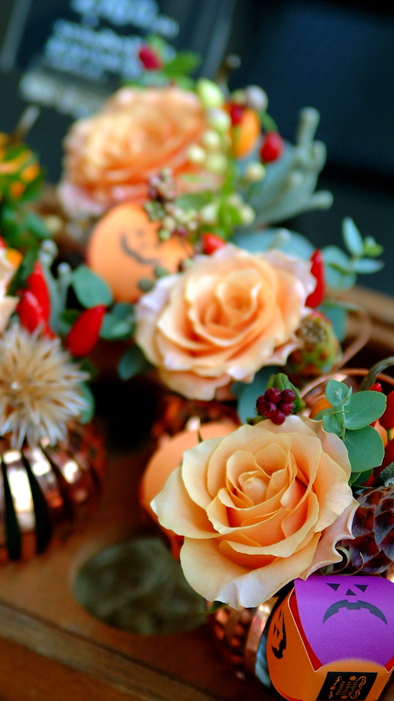 Flower Shop(11)