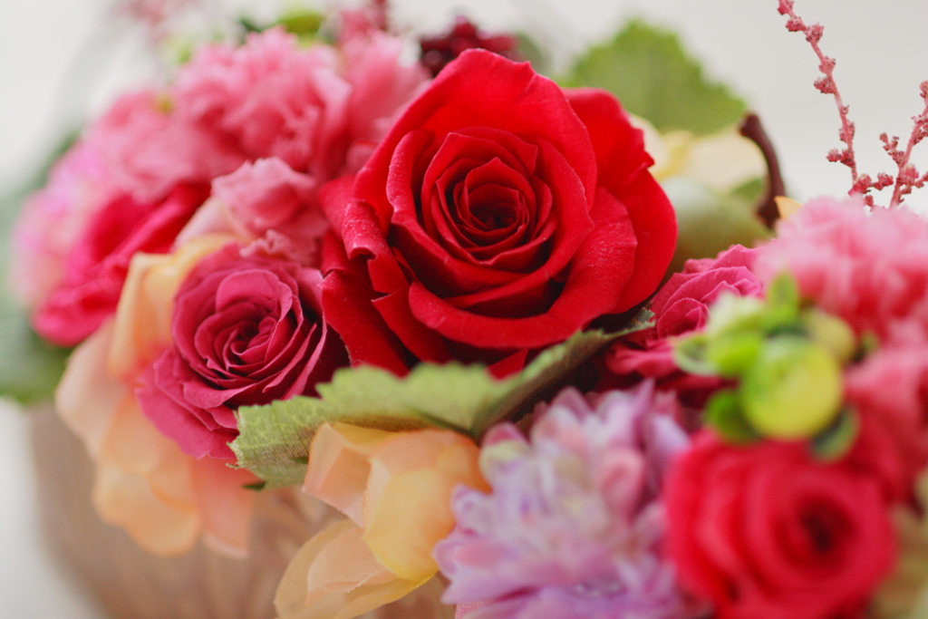 Flower ♪