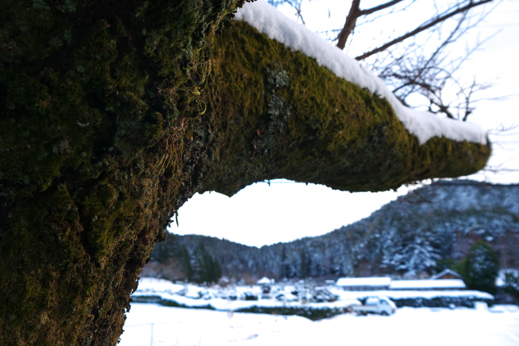 永澤寺 2015（8）