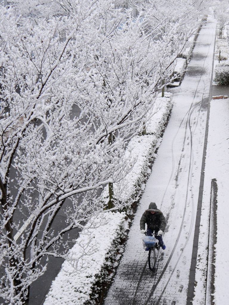 雪の日の朝