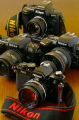 My Nikon 02