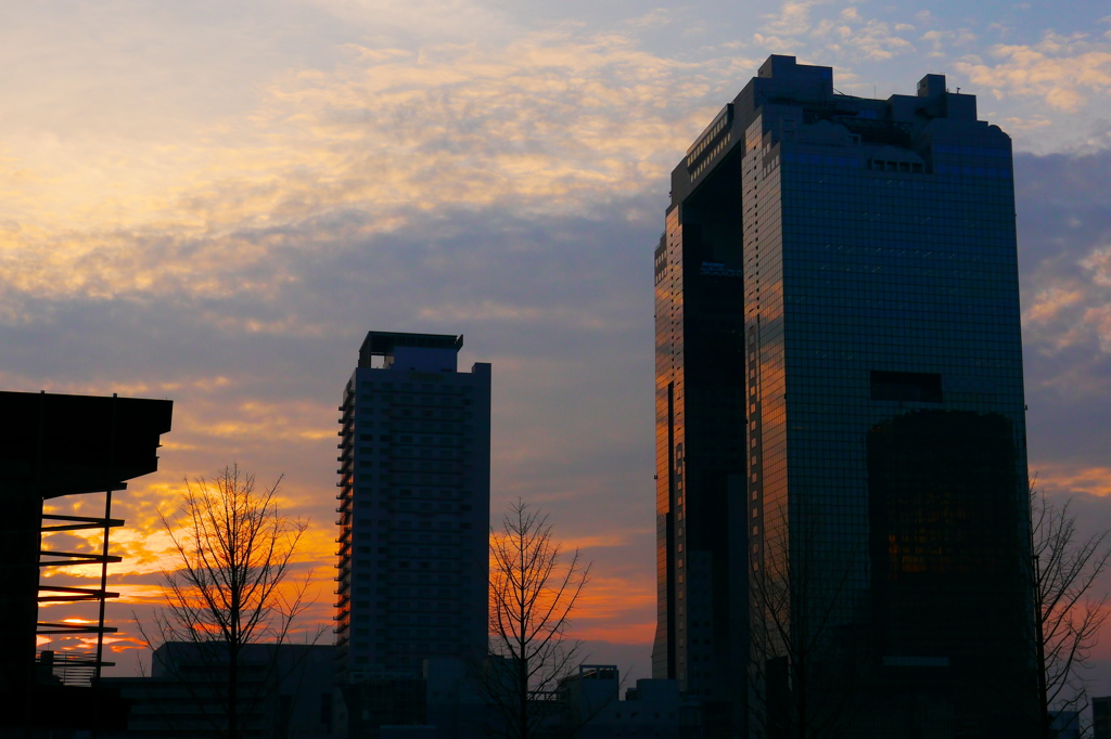 夕暮れ