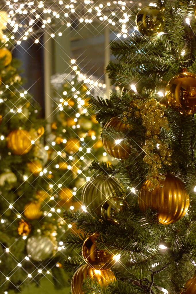 GRAND WISH CHRISTMAS 2014（7）