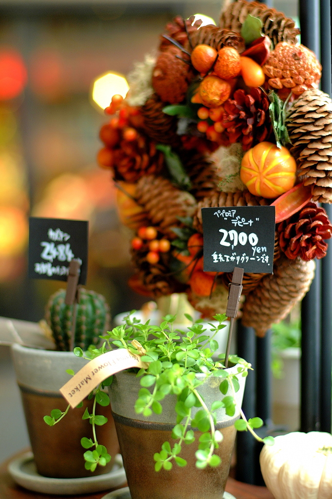 Flower Shop