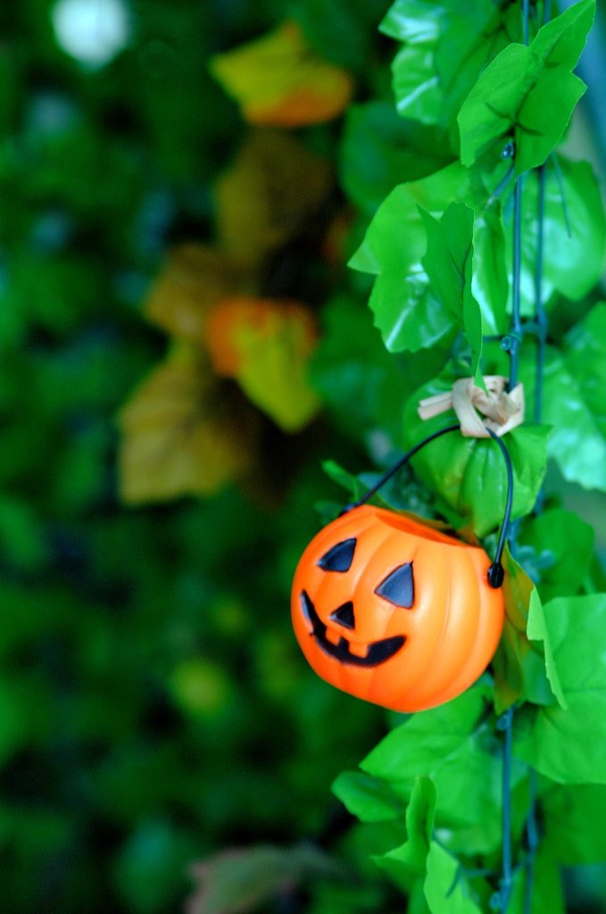 Trick or treat 02