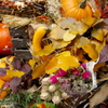 HAPPY HALLOWEEN 24