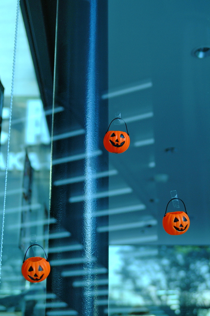 Trick or treat 05