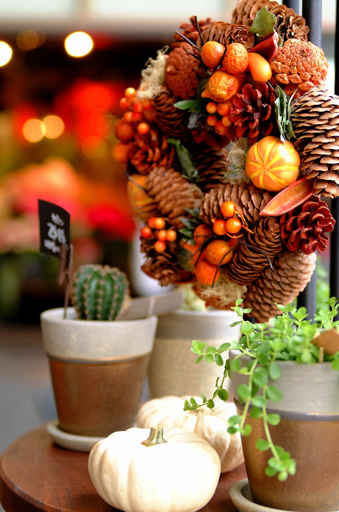 Flower Shop(6)