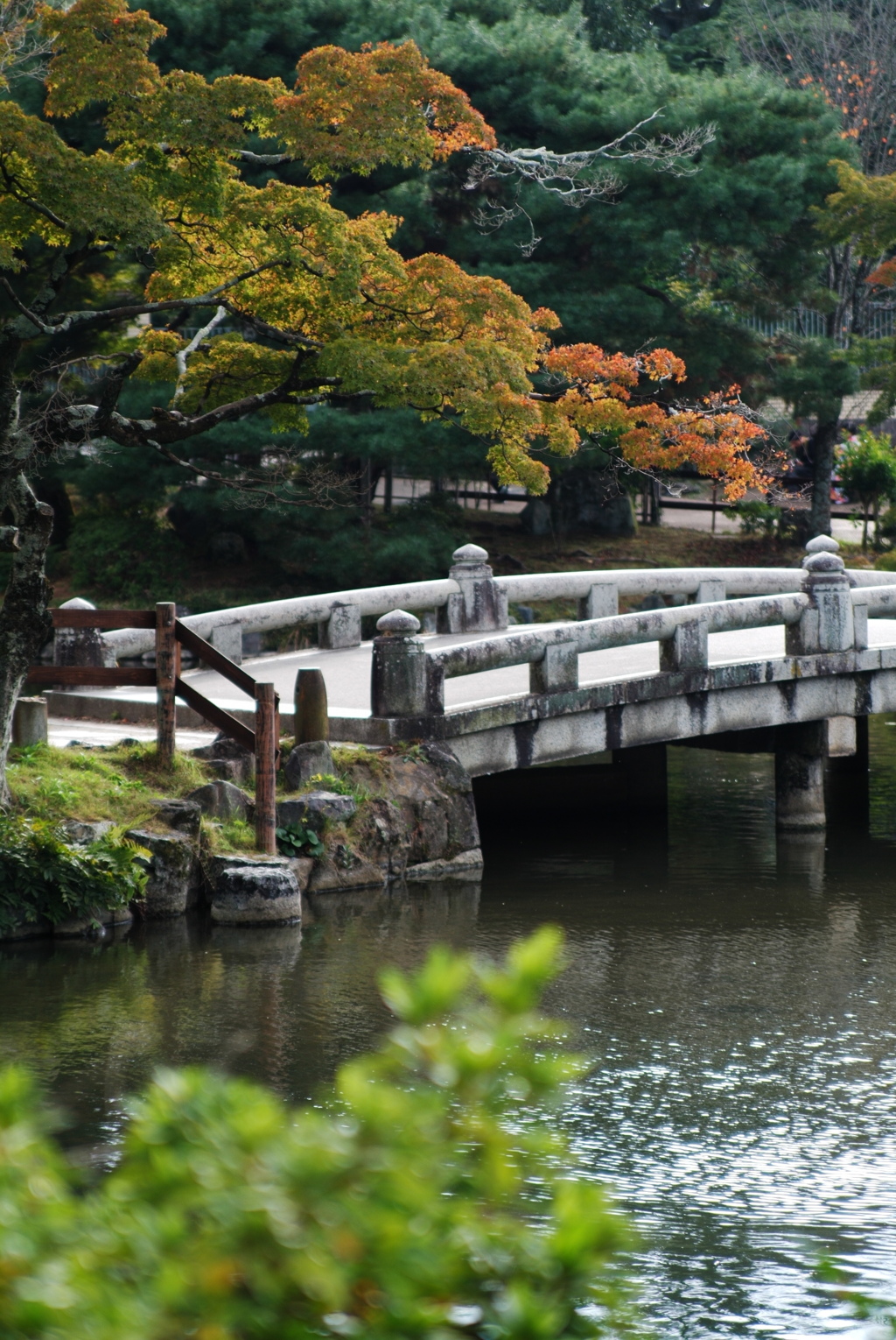 京都の秋